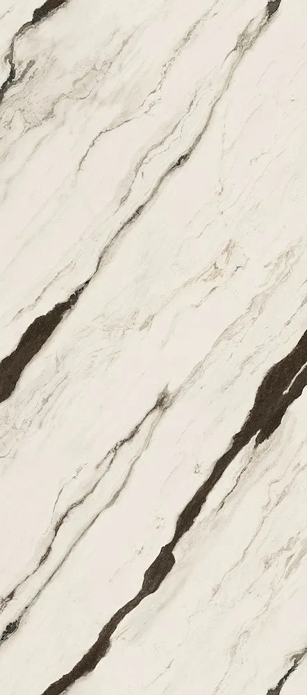 VERSACE MAXIMVS PANDA WHITE